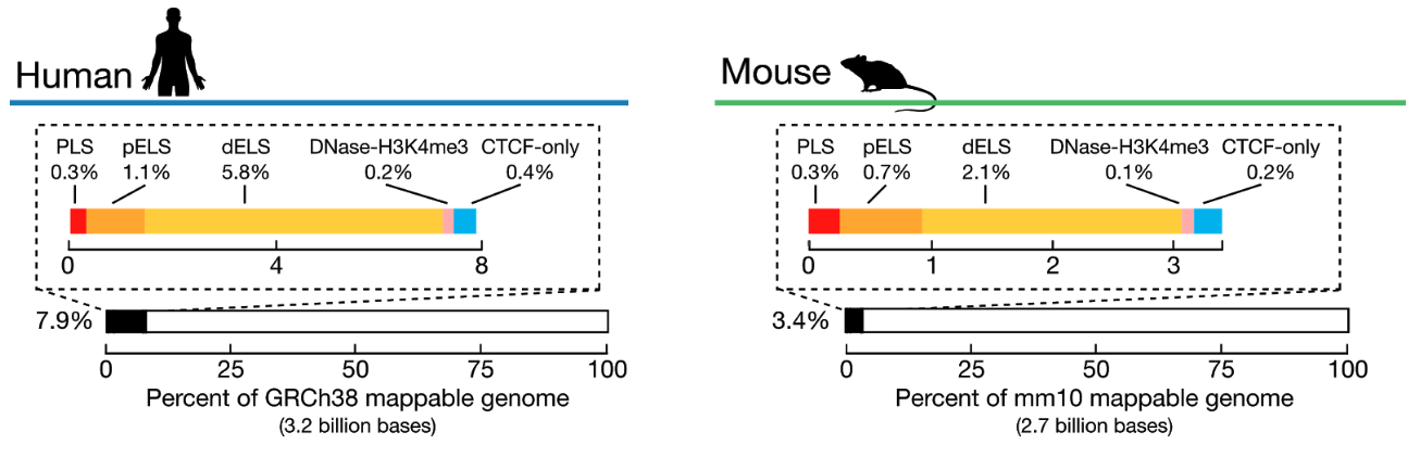 genomic coverage